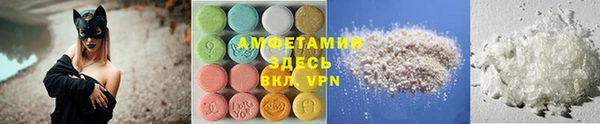 прущие грибы Алзамай