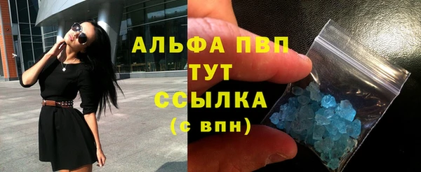 твердый Новодвинск