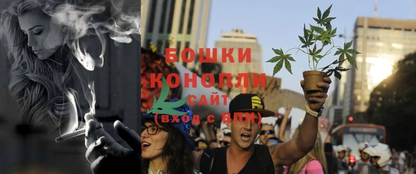 прущие грибы Алзамай