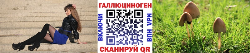 как найти   Усть-Илимск  Псилоцибиновые грибы Psilocybine cubensis 